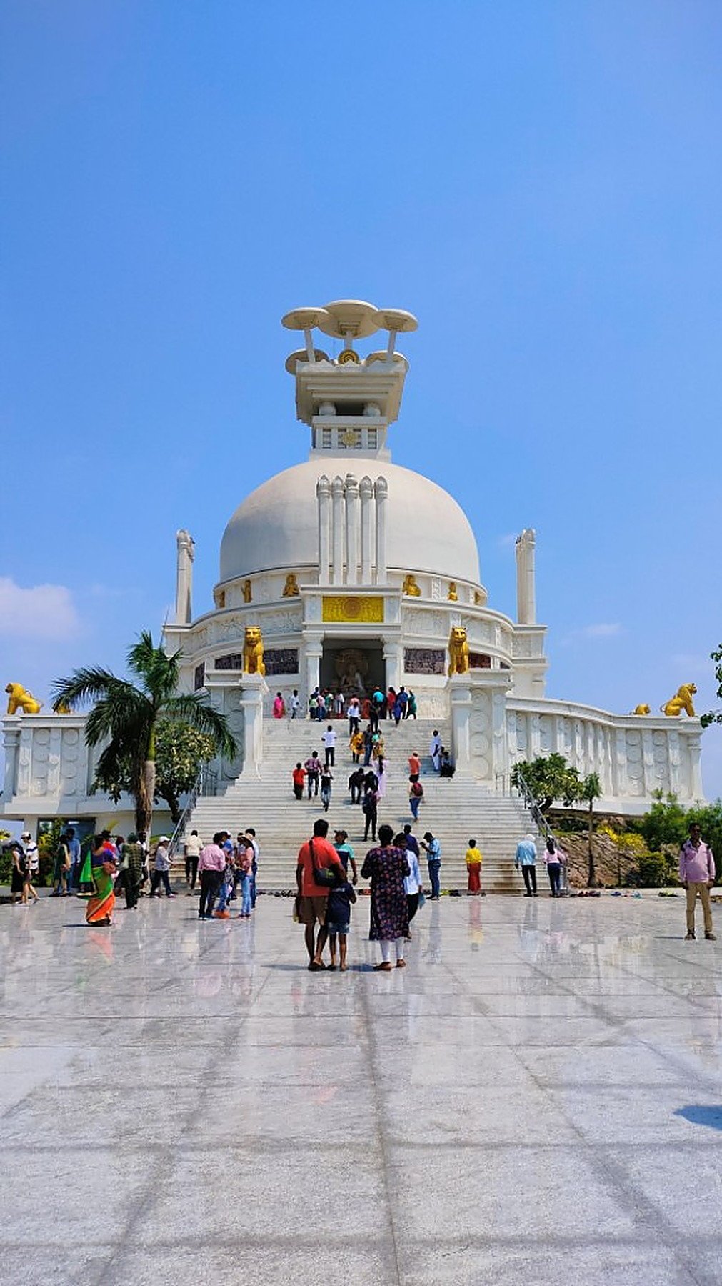 Dhauli