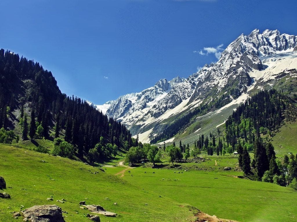 Kashmir