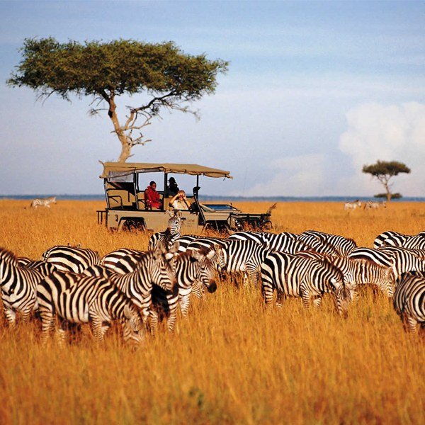 Kenya Safari