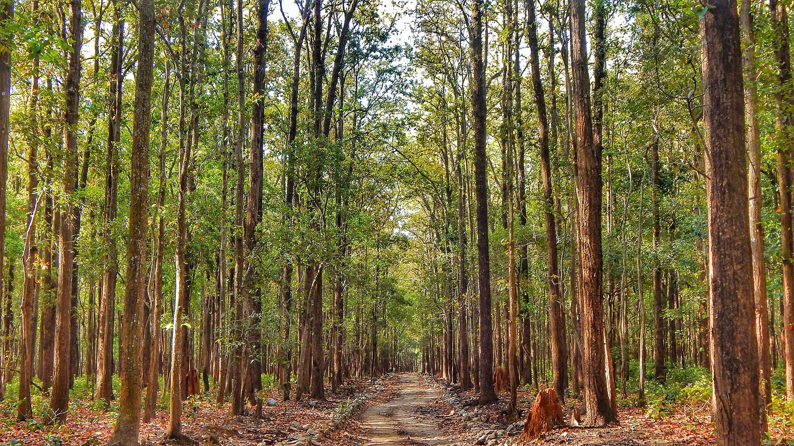 Jim Corbett 3