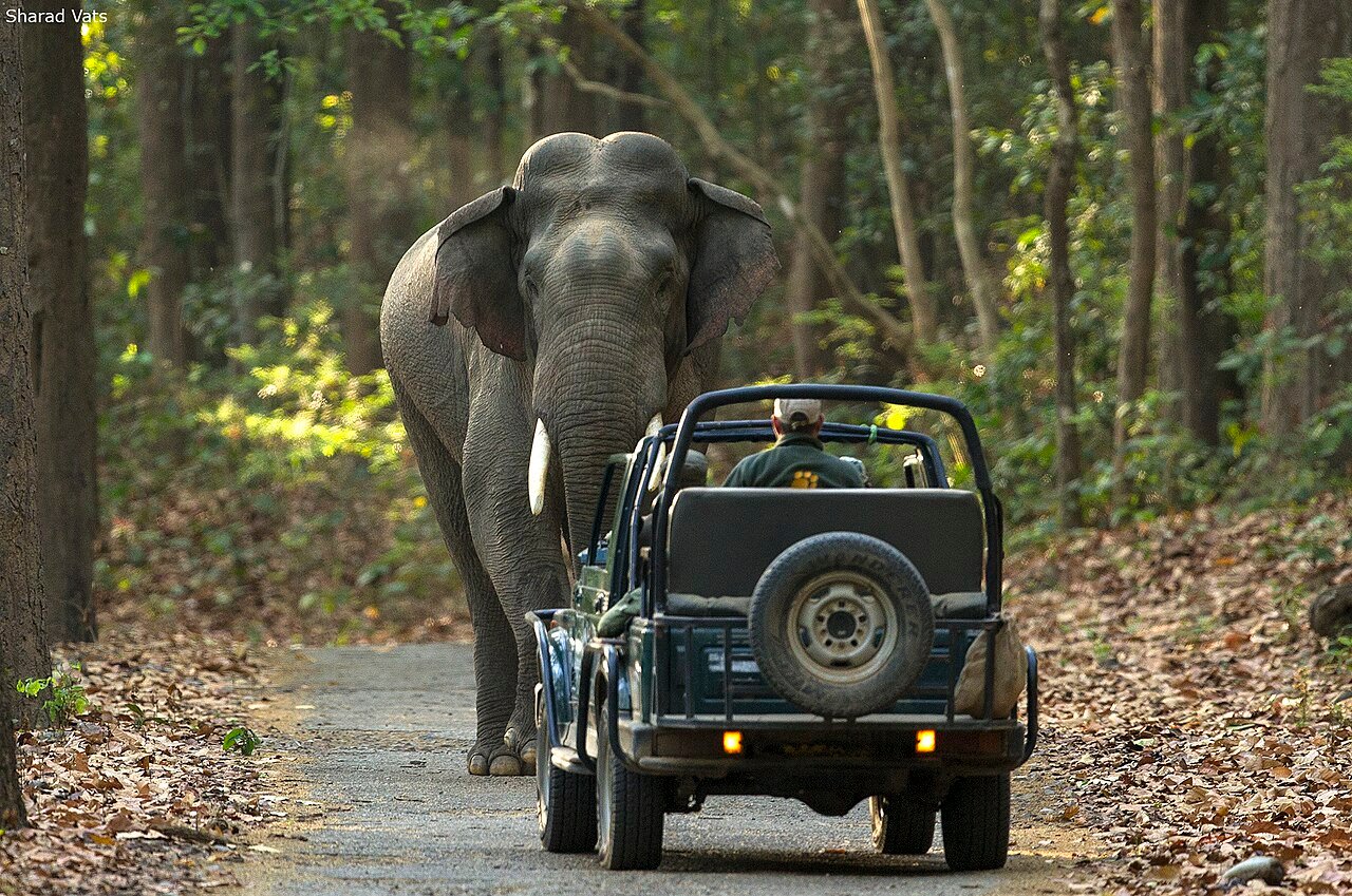 Jim Corbett 2