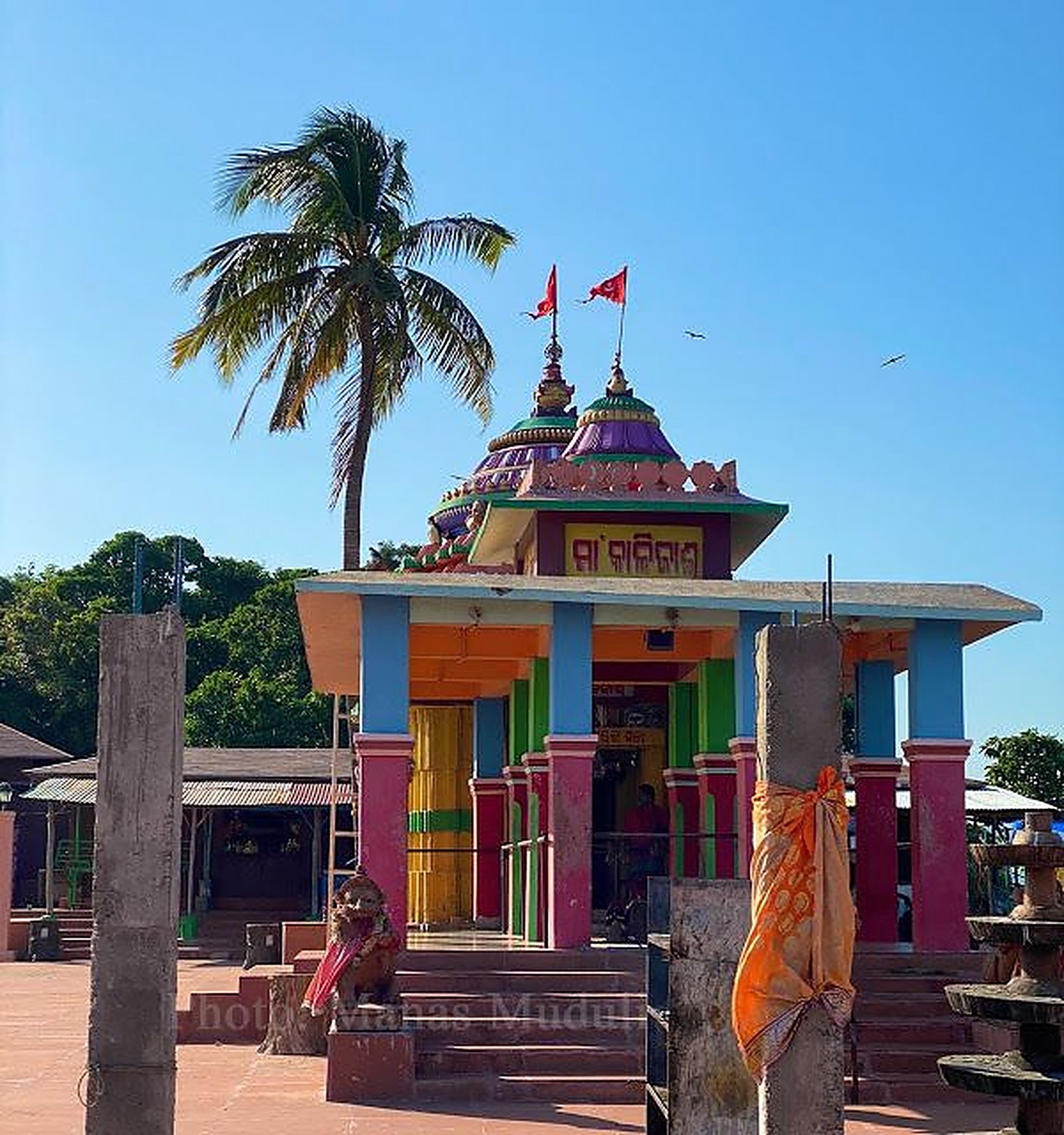 Chilika 5
