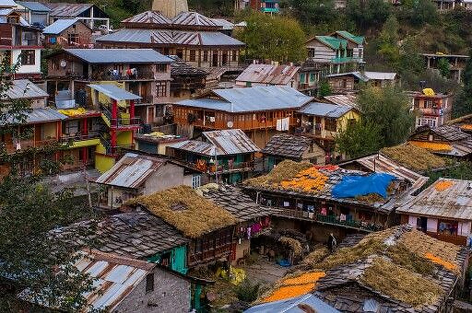 Manali